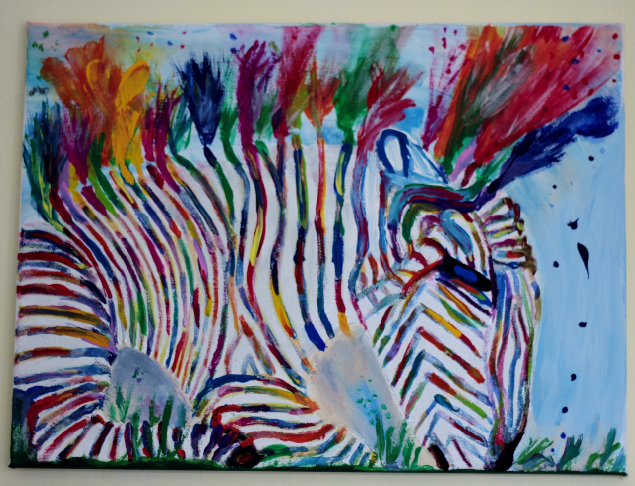 Barevná zebra - colorful zebra